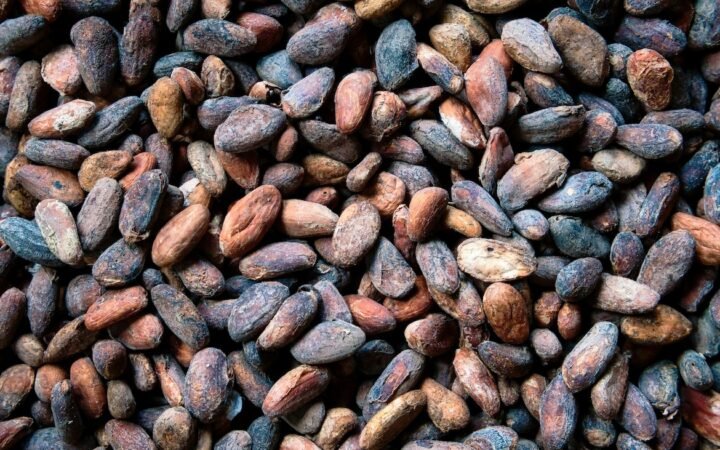 Cocoa Prices Collapse Nearly 80% After Record Highs