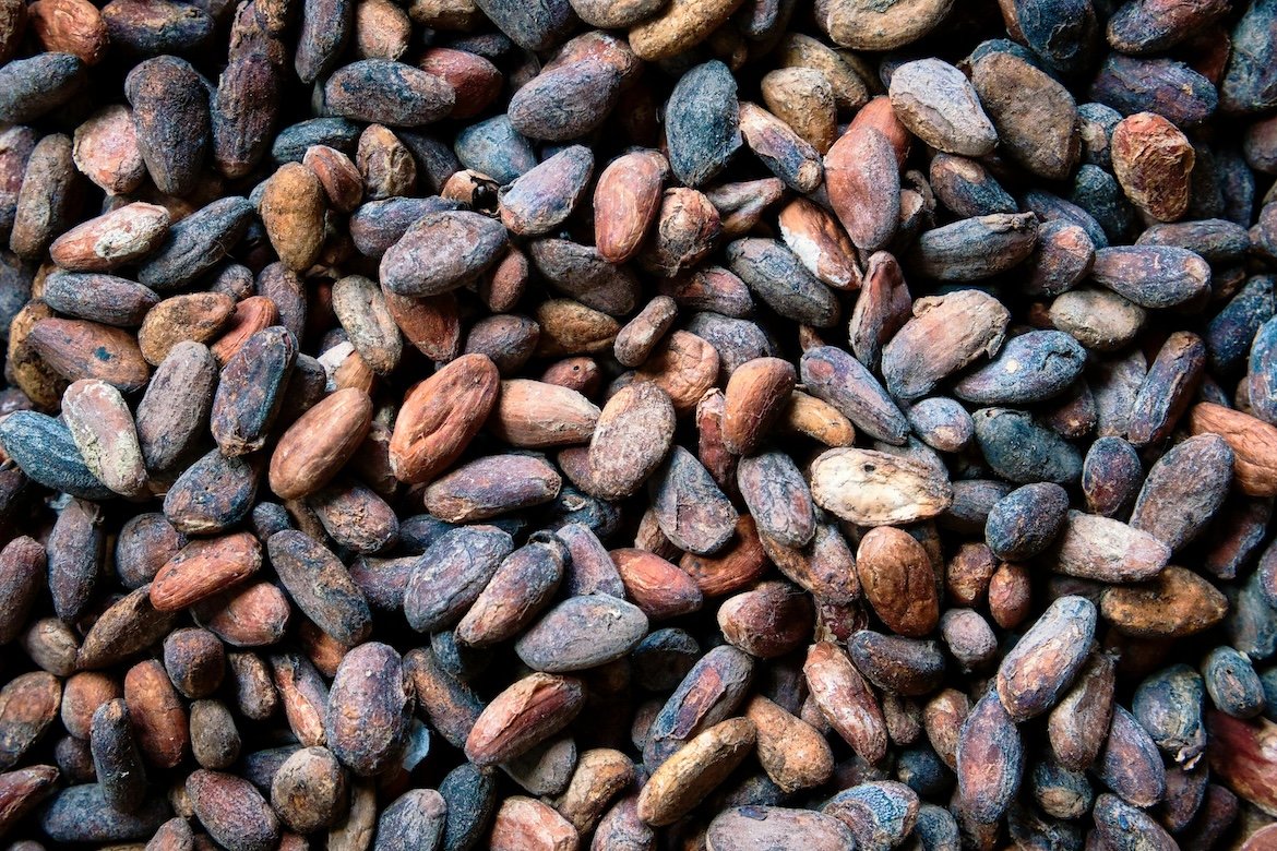 Cocoa Prices Collapse Nearly 80% After Record Highs