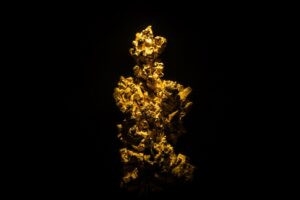 Central Banks Double Gold Purchases as Poland and China Lead Buying