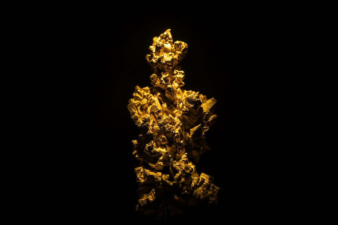 Central Banks Double Gold Purchases as Poland and China Lead Buying